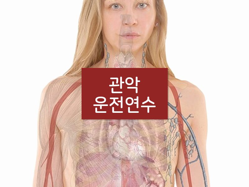 관악운전연수 후기