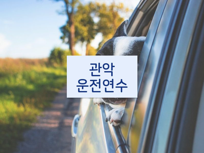 관악운전연수 후기
