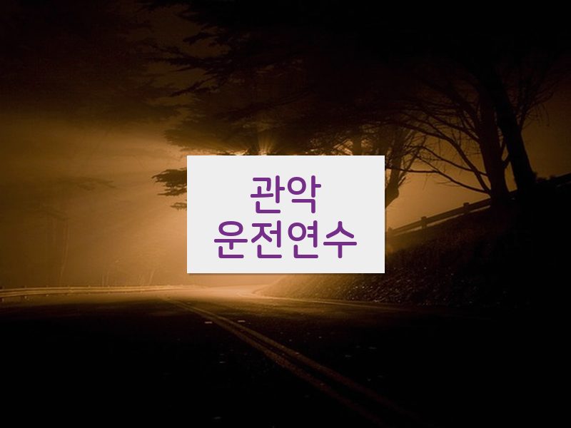 관악운전연수 후기