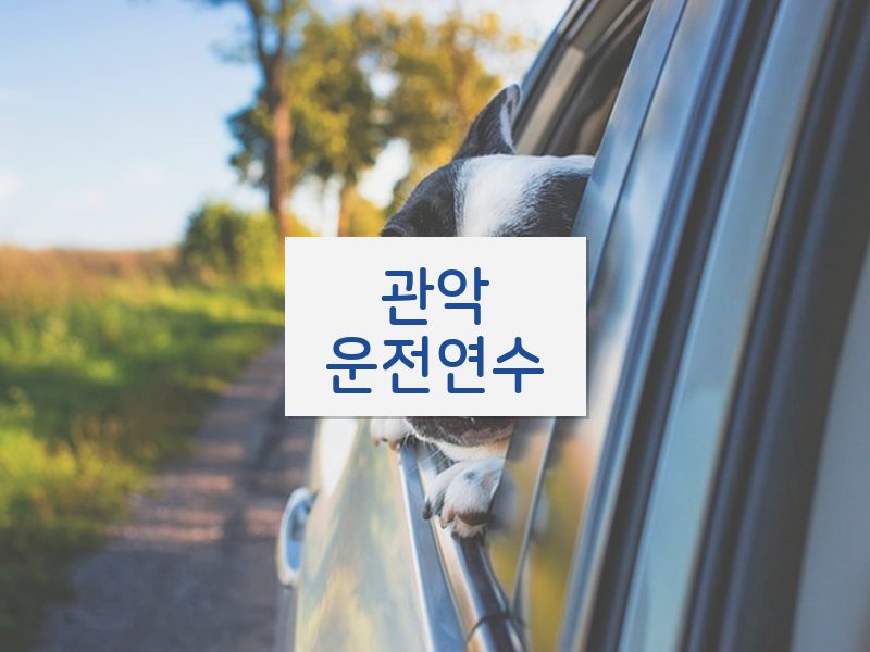 관악운전연수 후기