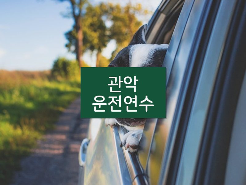 관악운전연수 후기