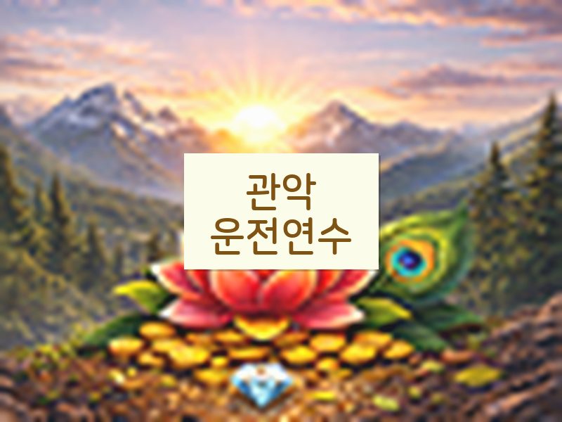 관악운전연수 후기