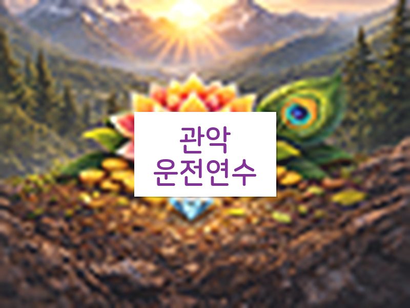 관악운전연수 후기