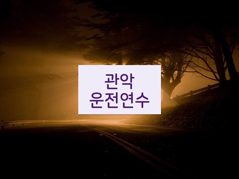 관악운전연수 후기