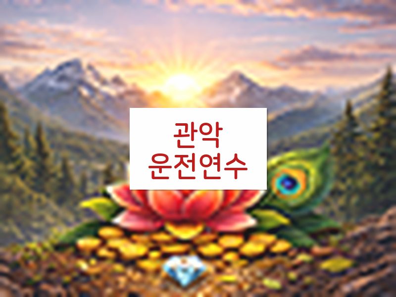 관악운전연수 후기