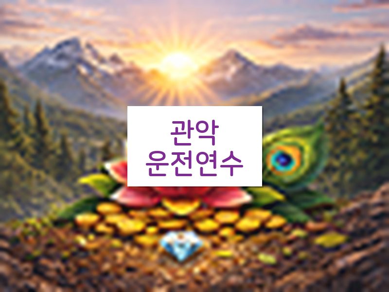 관악운전연수 후기
