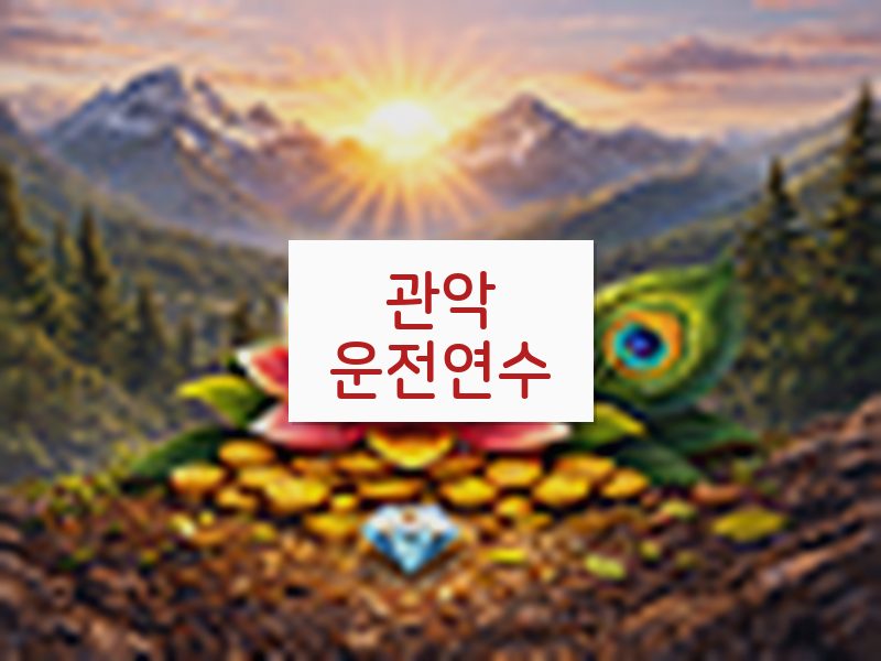 관악운전연수 후기