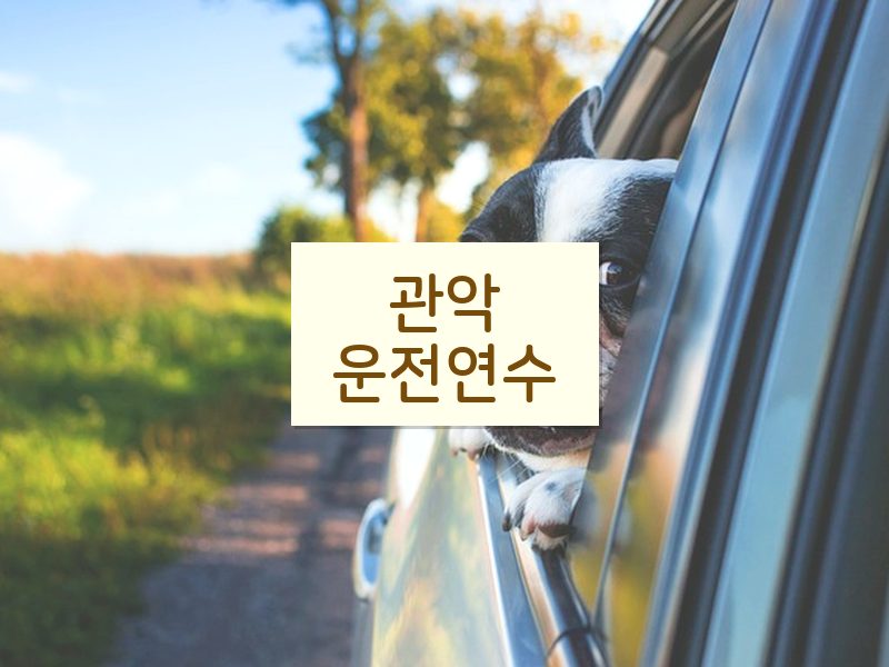 관악운전연수 후기