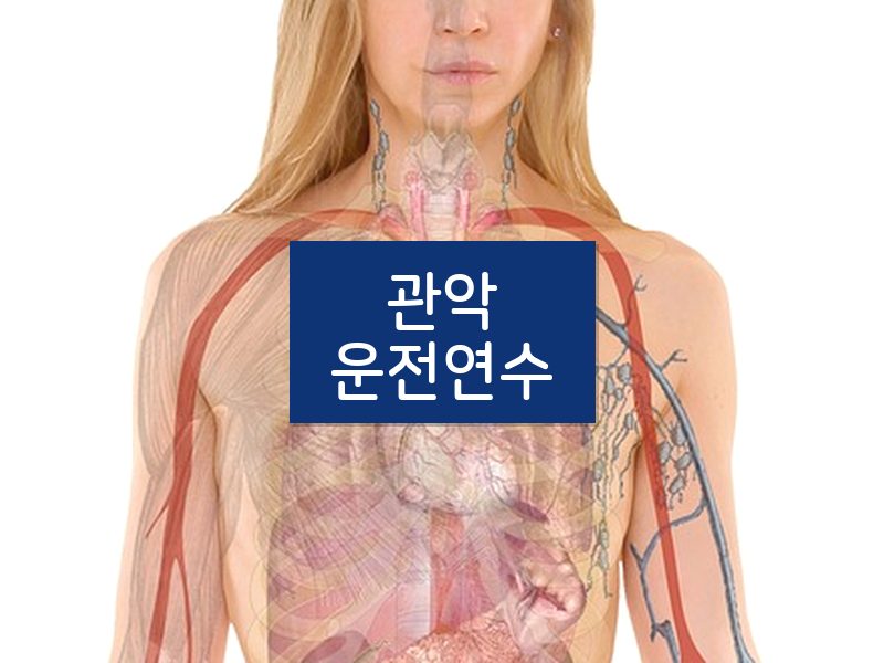 관악운전연수 후기