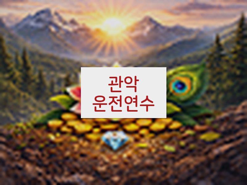 관악운전연수 후기