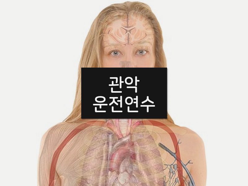 관악운전연수 후기