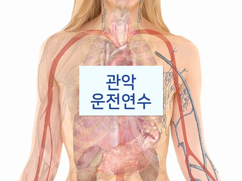 관악운전연수 후기
