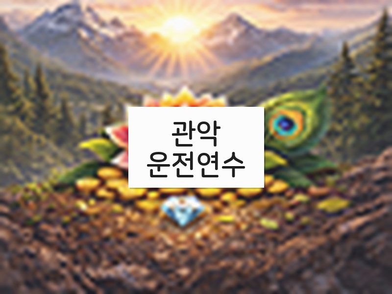 관악운전연수 후기