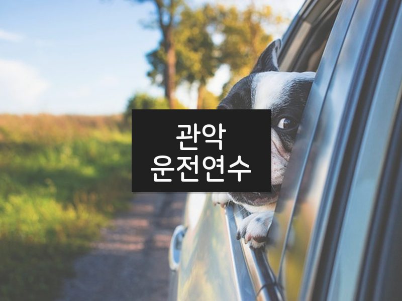 관악운전연수 후기