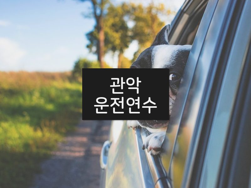 관악운전연수 후기
