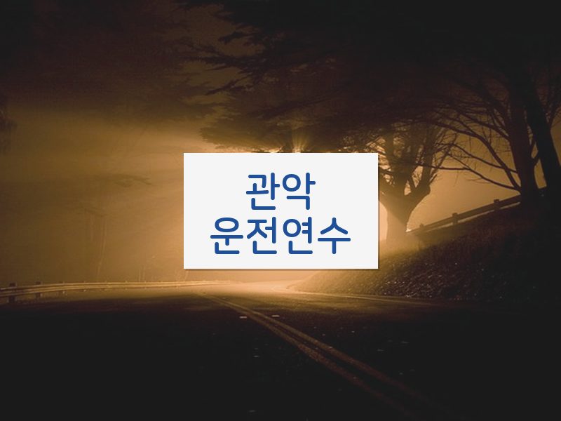 관악운전연수 후기