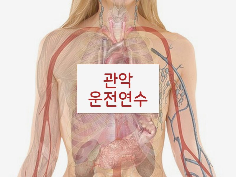 관악운전연수 후기