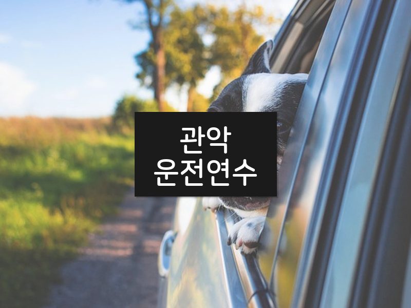 관악운전연수 후기