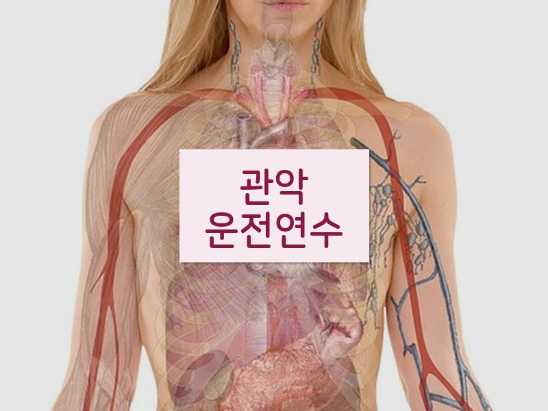 관악운전연수 후기