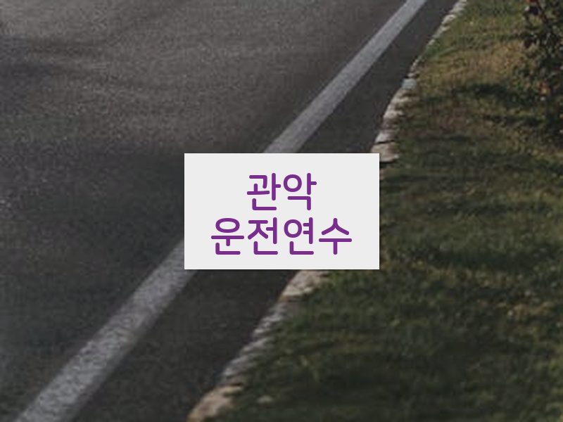 관악운전연수 후기