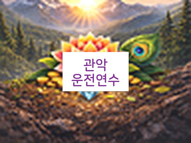 관악운전연수 후기