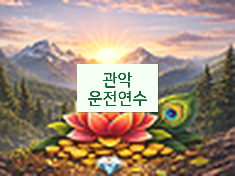 관악운전연수 후기