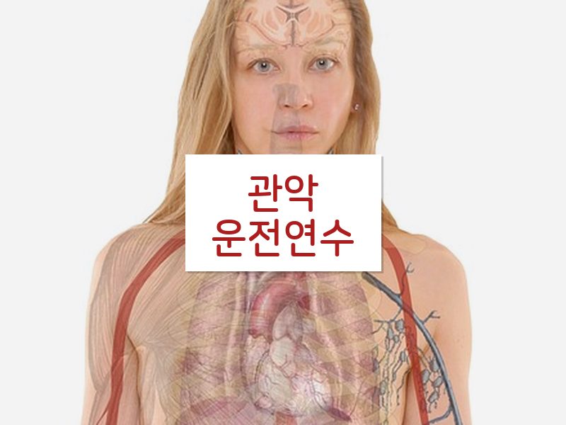 관악운전연수 후기