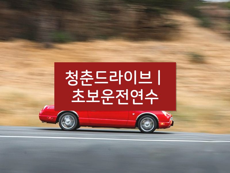 청춘드라이브 | 초보운전연수 후기