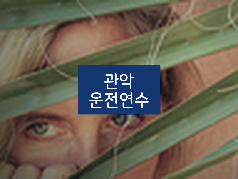 관악운전연수 후기
