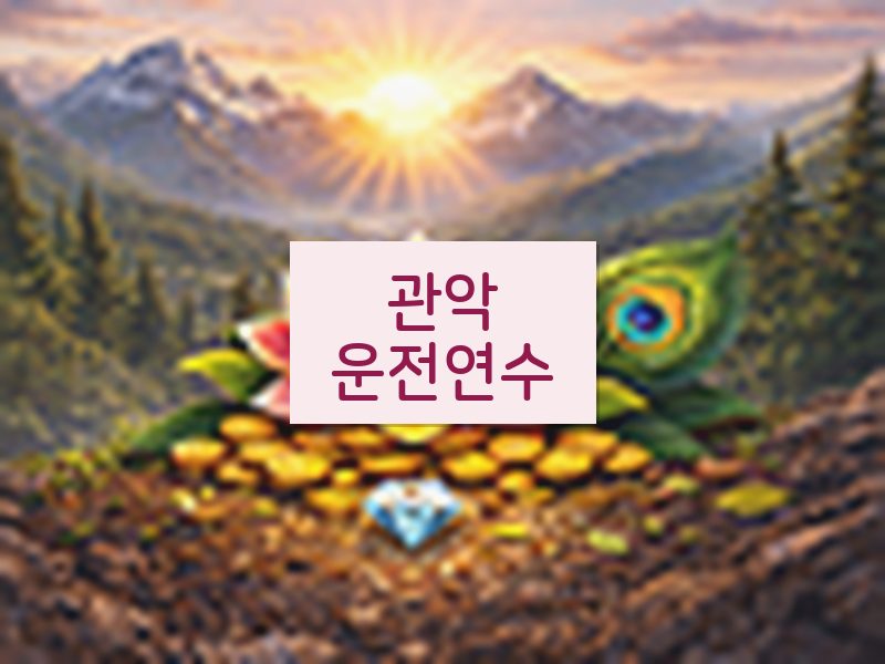 관악운전연수 후기