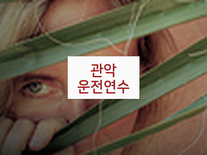 관악운전연수 후기
