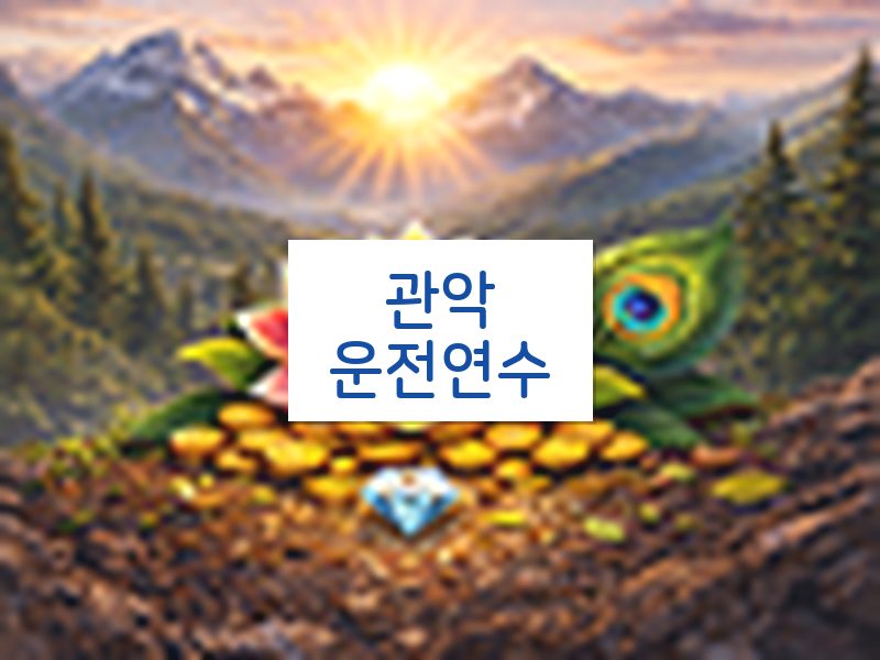 관악운전연수 후기