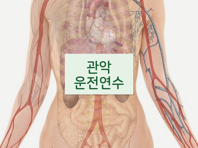 관악운전연수 후기