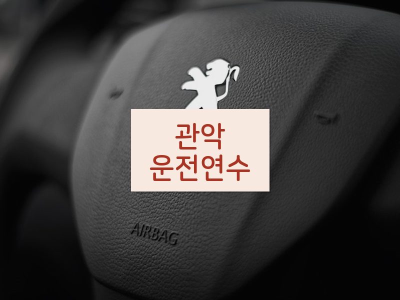 관악운전연수 후기