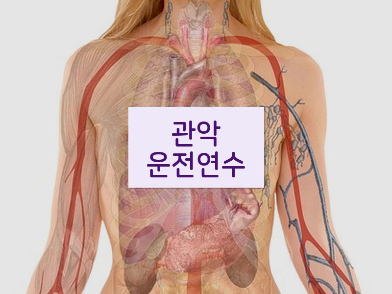 관악운전연수 후기