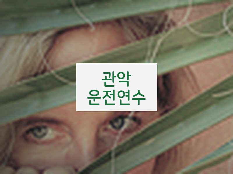 관악운전연수 후기