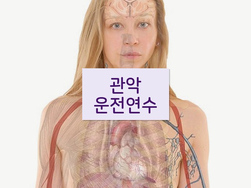 관악운전연수 후기