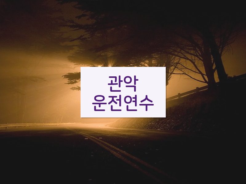관악운전연수 후기