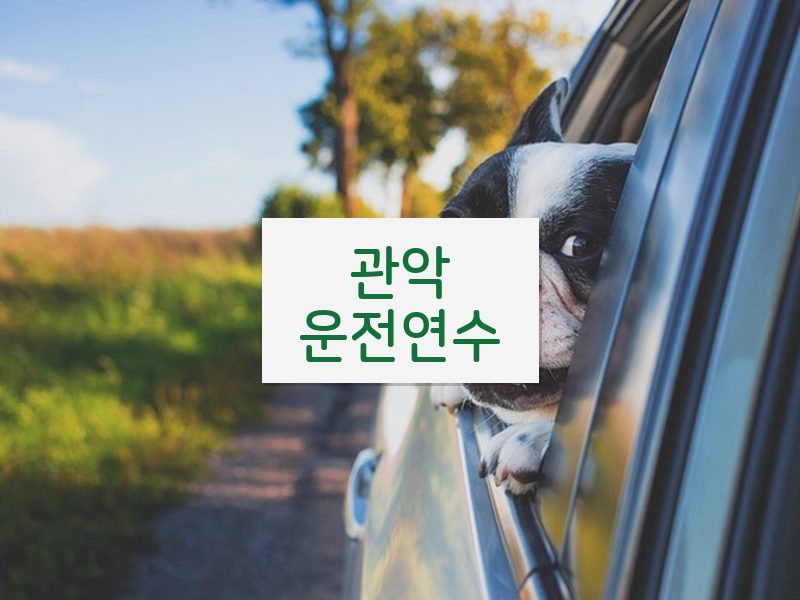 관악운전연수 후기