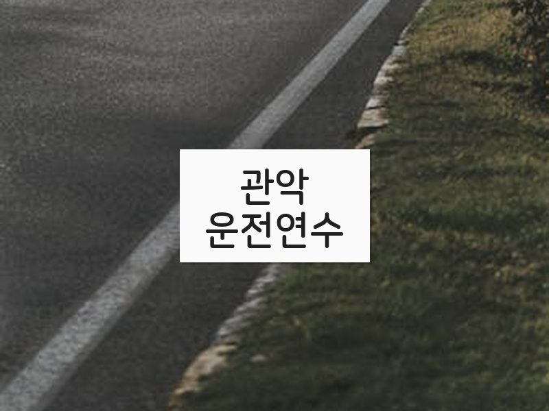 관악운전연수 후기