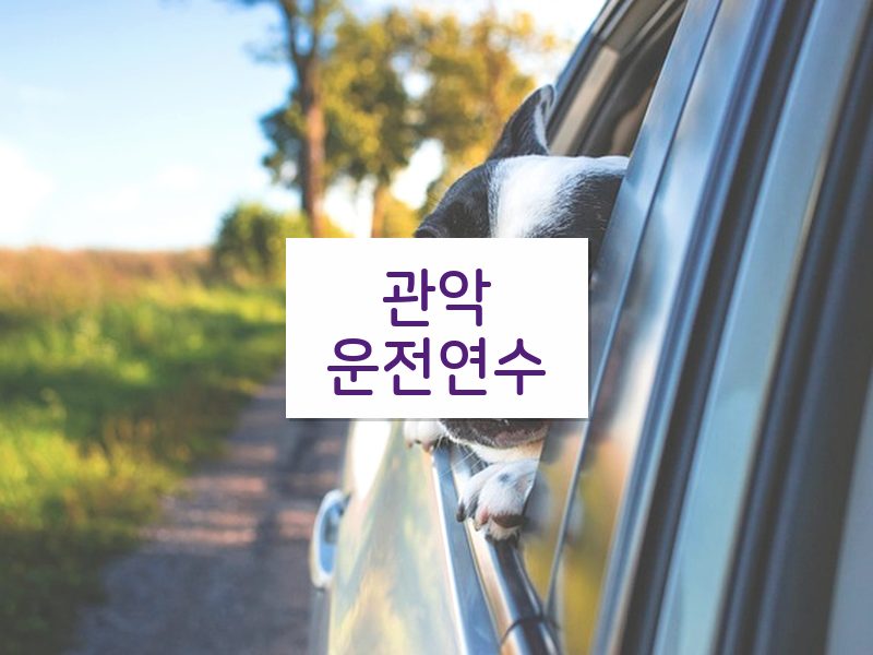 관악운전연수 후기