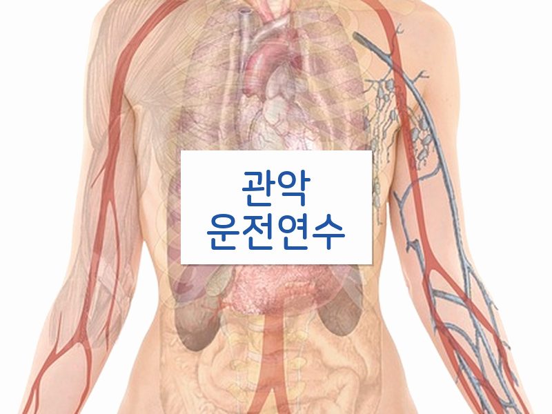 관악운전연수 후기