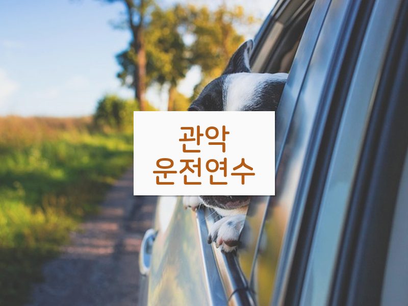 관악운전연수 후기