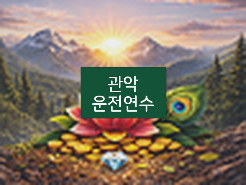 관악운전연수 후기