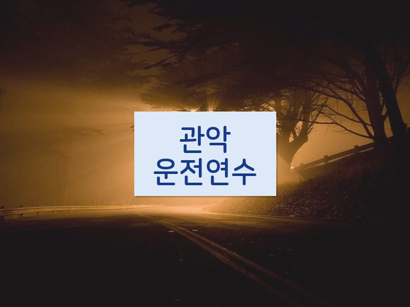 관악운전연수 후기