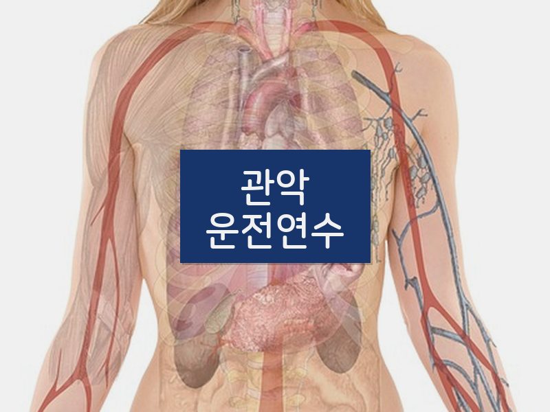 관악운전연수 후기