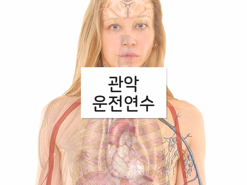 관악운전연수 후기