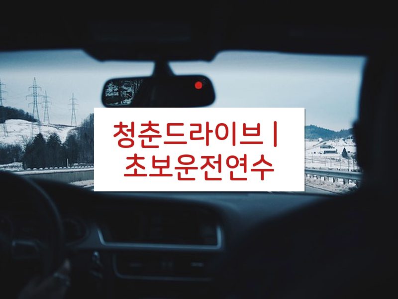 청춘드라이브 | 초보운전연수 후기