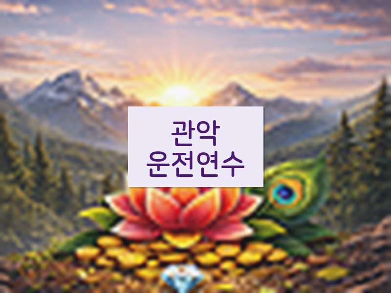 관악운전연수 후기