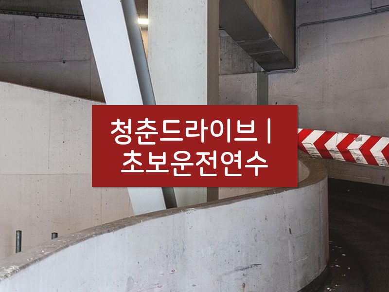 청춘드라이브 | 초보운전연수 후기